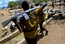 Herdsmen kill traveller, abduct others in Osun