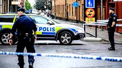 Sweden convicts woman for abducting own son