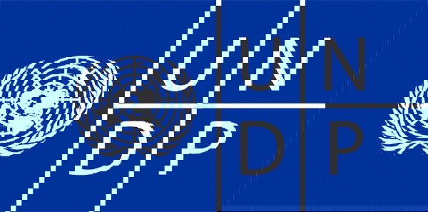 UNDP says Nigeria loses over N2bn to poor power supply every year