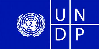 UNDP says Nigeria loses over N2bn to poor power supply every year