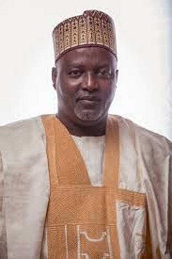 Rejection of Petition: Show proof of video doctoring, Nigerians in Diaspora tell Wase