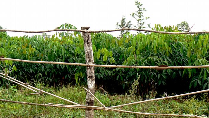 Land dispute: Stop provoking us! Abia community warns Imo neighbours