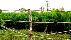 Land dispute: ‘Stop provoking us’, Abia community warns Imo neighbours