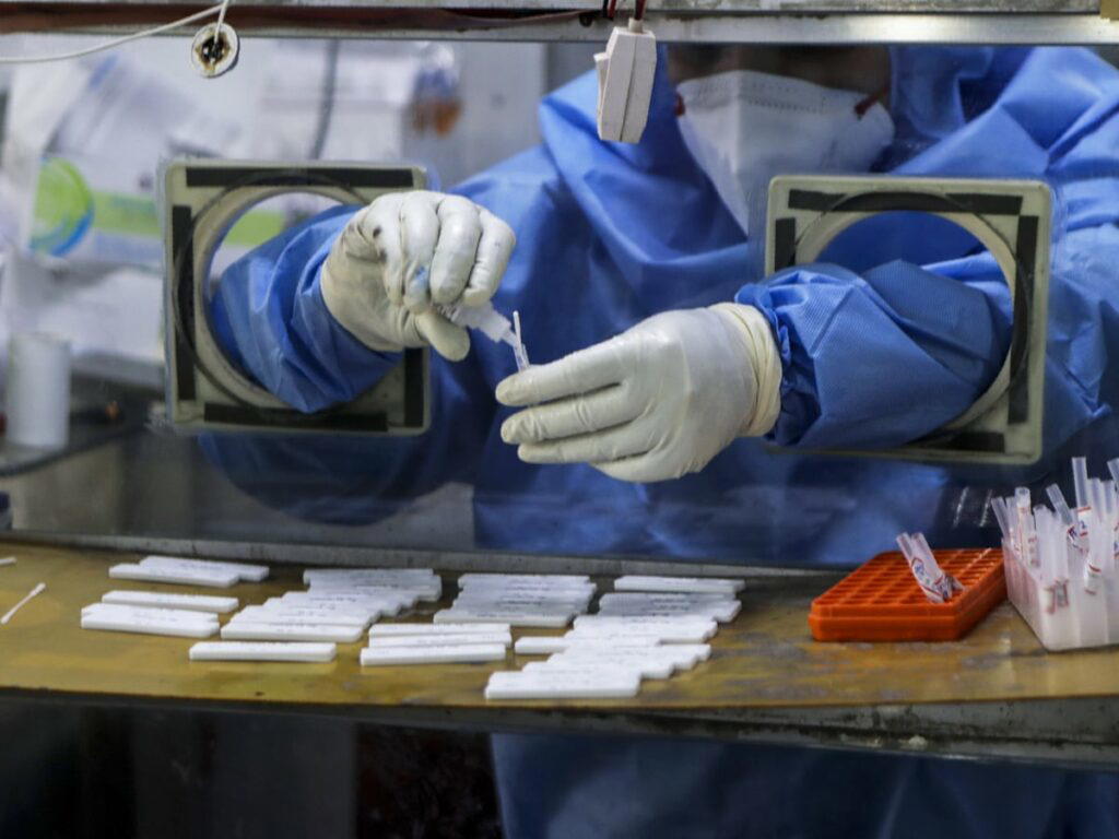 Halt COVID booster doses until poorer countries can vaccinate, WHO tells rich countries