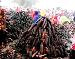 Distraught traders count painful costs as strange fires gut Plateau yam markets