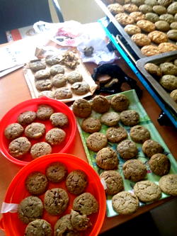 Female undergraduate, boyfriend nabbed for selling drugged cookies to school children, others