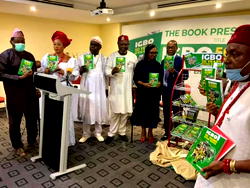 Attacks on S’East: We must explore all options of negotiation — Stakeholders urge Igbo