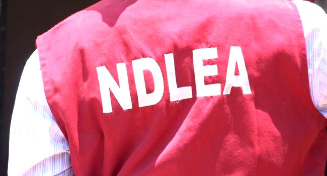 NDLEA, Reckless drivers are in prison, NDLEA warns