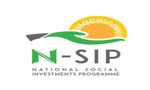 Nsip Blog NSIP: Social security for the vulnerable - Vanguard News