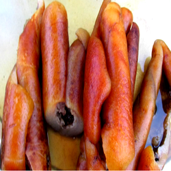 Shun consumption of animal skin to stave off cancer — Don advises