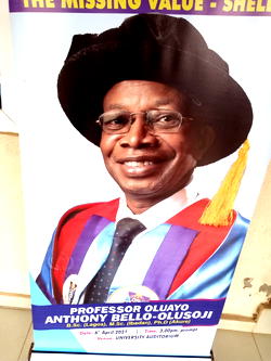 Don calls for establishment of Shellfish Bank in Nigeria