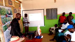 Syngenta Foundation Nigeria empowers Kano, Jigawa farmers with N10m inputs