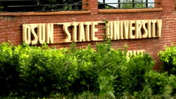 UNIOSUN’s 250 staff not ‘ghost workers’, says Vice-Chancellor