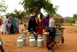 FrieslandCampina WAMCO Nigeria: Solid, steady progress on backward integration in dairy development