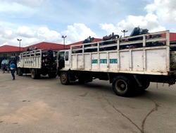 Lagos Taskforce impounds 81 motorcycles on restricted routes