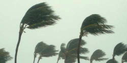 Windstorm: Hundreds of houses blown off, many feared dead in Imo