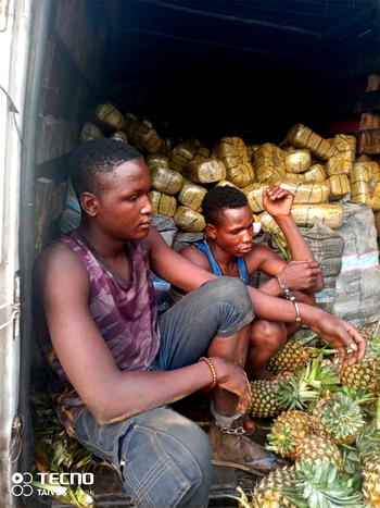 Wanted drug baron arrested in Nasarawa as NDLEA intercepts 1,330kg skunk in Edo