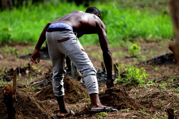 FG considers drip irrigation