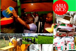 Kinetic Abia: Ikpeazu’s industrialisation agenda is delivering