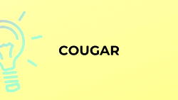 Being a successful cougar is an art