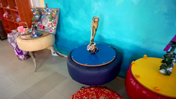 Special Needs Students set up pop-up store from recycled materials