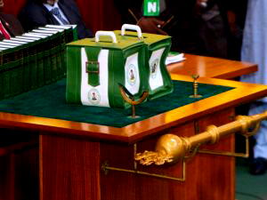 2022 budget: NPC raises alarm over omission to fund family planning 1 Reps fume as Accountant-General's office budgets N36m to battle wild animals