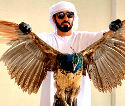 Chef Ahmed Darwish, who loves to cook