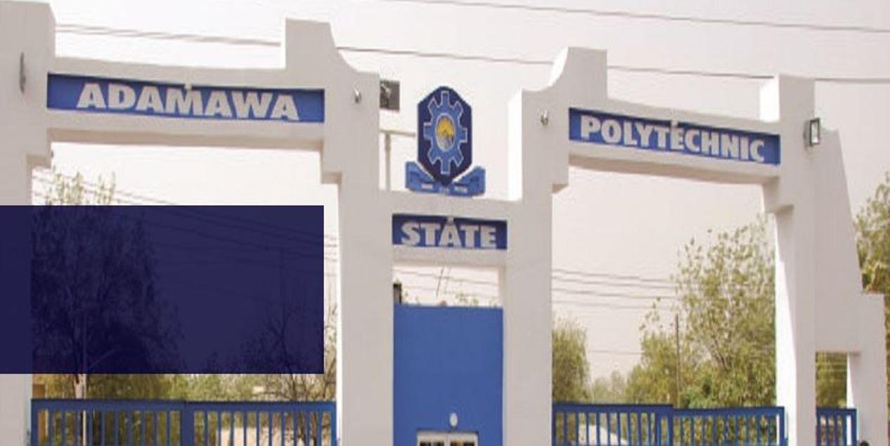 Adamawa Poly seeks approval to recruit 70 lecturers
