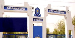 Adamawa Poly seeks approval to recruit 70 lecturers