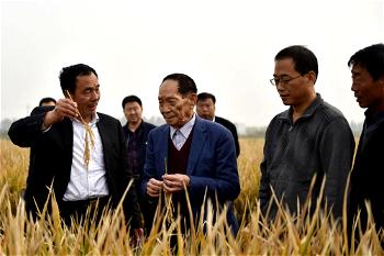 Chinese scientist, Yuan Longping, dies; rice research helped feed world