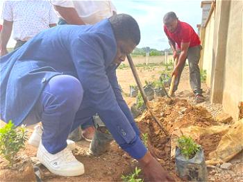 Gtext Homes plant 1000 trees in Lagos, Abuja