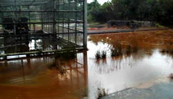 Fresh oil spill hits Bayelsa community