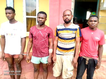 Four arrested for hijacking trailer load of Golden Penny flour in Ogun