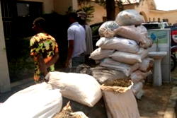 NDLEA arrests 89 suspected drug peddlers in Kaduna