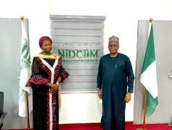 The Nigerian Diaspora: Catalyst for Accelerated Development – Ambassador Zubairu Dada