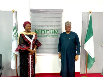 The Nigerian Diaspora: Catalyst for Accelerated Development – Ambassador Zubairu Dada