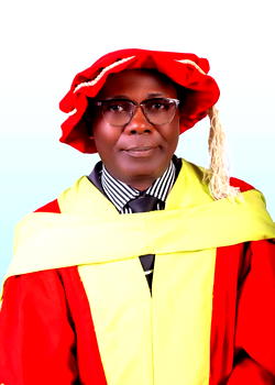 Corruption, bad leadership not Nigeria’s problem— Prof Ekanem