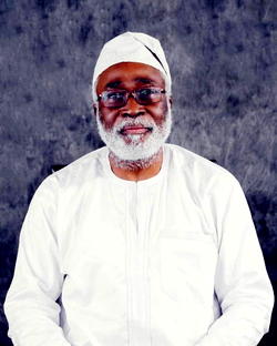2023: PDP’ll sweep South-West, take Presidency — Owokoniran, PDP scribe