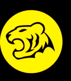 TigerWit share nugget on forex trading for Nigerians