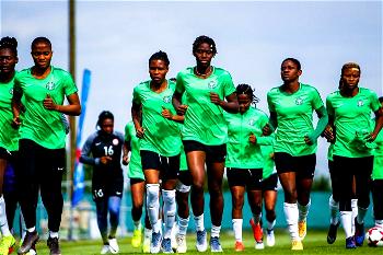 Morocco 2022: 35 players to hit Super Falcons Abuja camp for Lady Elephants