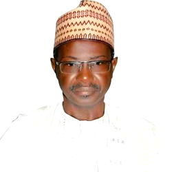 Insecurity: Why we need mercenaries — Lawmaker