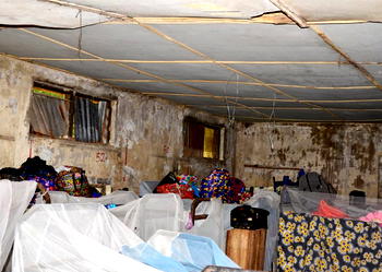 Ohanaeze youths petitions FG on decay, nepotism at FCE Eha-Amufu