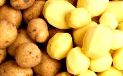 Food Security: FG moves to build capacity of Irish-potato farmers in Cross River