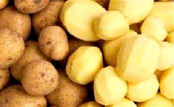 Food Security: FG moves to build capacity of Irish-potato farmers in Cross River