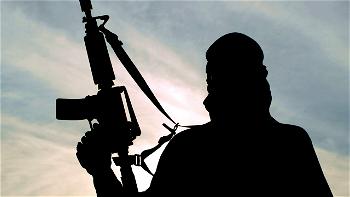 [ICYMI] Bandits in fierce gun battle amongst themselves in Niger; villagers jubilate but in disbelieve
