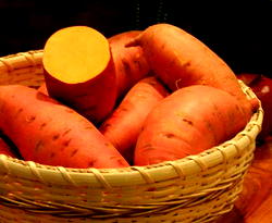 FG charges stakeholders on solution to low adoption, utilization of Orange Flesh Sweet Potato