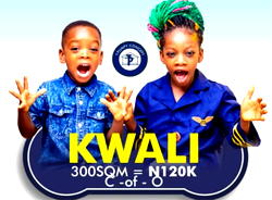 Pumpy Kiddies Abuja estate land with C-of-O goes for N120k