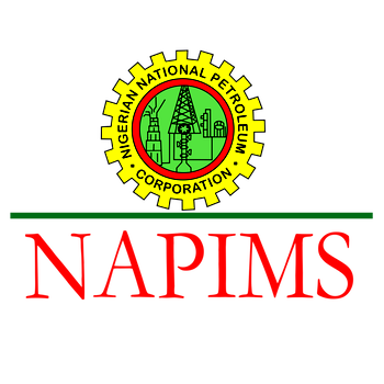 FG to re-open trans Niger pipeline, as NAPIMS visits area
