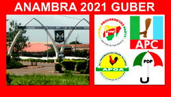 Final results of 2021 APGA governorship primaries
