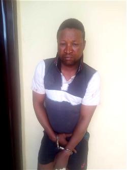 OGUN: Man, 40, in Police trouble for raping 60-year-old woman